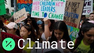 Global Climate Strike Protesters Rally Around the World for Action on Climate Change [upl. by Meikah]