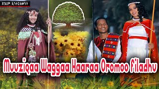 Ayyaana Waggaa ምርጥ የኦሮምኛ የአዲስ አመት በዓል ሙዚቃዎች እንቁጣጣሽ new oromo New Year music 2022 [upl. by Nauqed834]