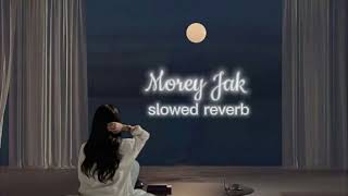 Morey Jak slowed reverb Pritom hasan [upl. by Nattirb470]