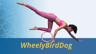 WheelyBirdDog [upl. by Power]