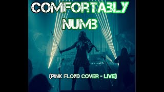 Comfortably Numb Live in Las Vegas Femmes of Rock ft Bella Electric Strings [upl. by Eibot]