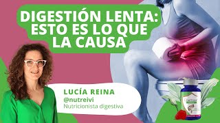 Causas del TRÁNSITO INTESTINAL LENTO o DIGESTIÓN LENTA 🐢🚽 Con la nutricionista Lucía Reina nutreivi [upl. by Morey]