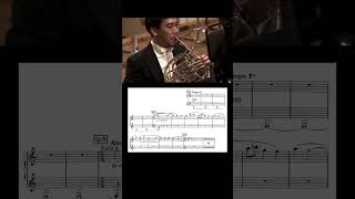 Ravel — Concerto for Piano in G major  Horn 1 in F solo [upl. by Anirehtac678]