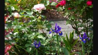 A Year in My Garden An Englishstyle cottage garden in the US [upl. by Abihsot]