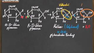 Q 11 Disaccharide [upl. by Shanahan27]