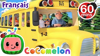 Les roues de lautobus  CoComelon  LHeure de Cody  Chansons pour bébés [upl. by Eeryk]