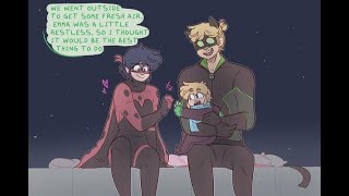 quotNamequot Miraculous Ladybug Comic Dub [upl. by Esirrehc]