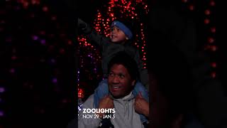 Zoolights 2024 at Point Defiance Zoo amp Aquarium [upl. by Innaig]