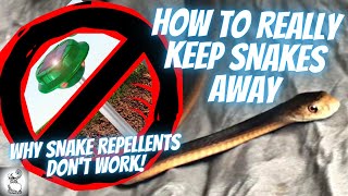 Do Snake Repellents Work How to REALLY Keep Snakes Away [upl. by Sorrows]