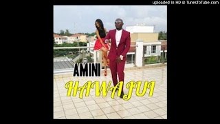 Amini  Hawajui Official Music Audio [upl. by Ybeloc]