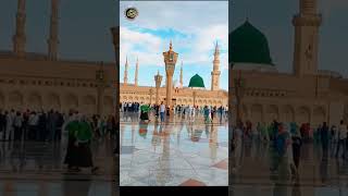 Sallay Ala Nabiyena صلّ علیٰ نبینا صلّ علیٰ محمّد  Durood O Salam KalamEOwaisi [upl. by Anaiek213]