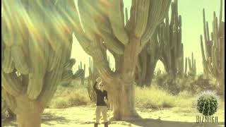 Cardón  Pachycereus pringlei  Saguaro  Carnegiea gigantea  sahuaro [upl. by Mahoney503]