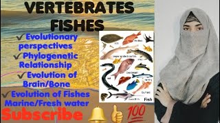 THE FISHES Evolutionary PerspectivesPhylogenetic RelationshipsEvolution of BrainBone Survey [upl. by Anilet]