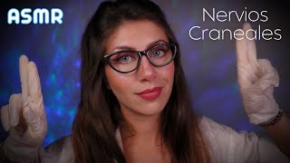 ASMR • Examen COMPLETO de NERVIOS CRANEALES  Roleplay Realista [upl. by Kiraa]