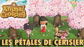 Fêter le Printemps avec les Pétale de Cerisier  Animal Crossing New Horizons [upl. by Aneerahs638]