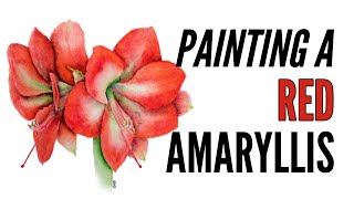 How To Paint An Amaryllis With Inktense in Red [upl. by Nailuj]