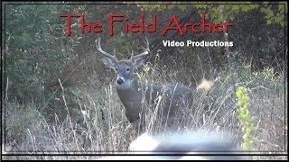 CROSSBOW DEER HUNTS WARNING IMPACT SHOTS [upl. by Airom]