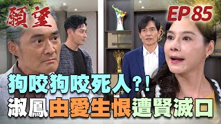 願望 EP85 完整版｜前妻瘋起來無極限！淑鳳世賢上演狗咬狗 下場是遭滅口？耀武不受控 硬要認家翔做兒子！｜Desires｜【十全味噌】 [upl. by Ajam]