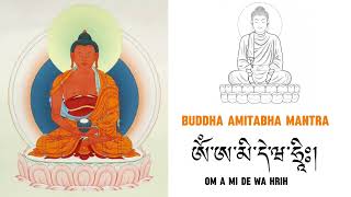 Buddha Amitabha Mantra recited by HH Namkhai Nyingpo Rinpoche 🙏🙏🙏 [upl. by Wayolle]