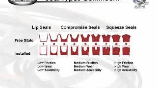 Hercules Webinar Series 1  Seal Theory Condensed [upl. by Lanod]