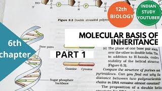 NCERT Class 12th Biology chapter 6th Molecular basis of Inheritance  part 1 [upl. by Labors]