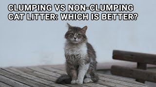 Clumping vs NonClumping Cat Litter Which is Better [upl. by Eiramrebma447]