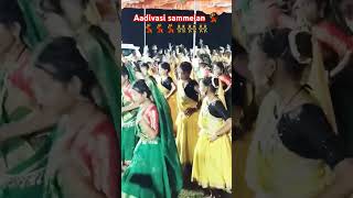 Aadivasi sammelanadivasidance adivasi [upl. by Conlen]