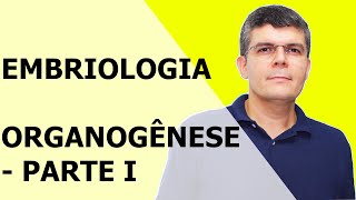 EMBRIOLOGIA  PARTE 9  ORGANOGÊNESE PARTE 1 [upl. by Godric]