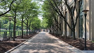 Explore Carnegie Mellon University Campus Walking Tour 🎓🏞️ [upl. by Grim]