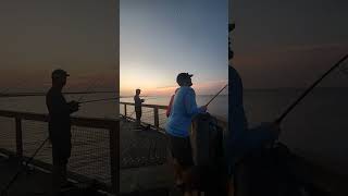 Live Navarre Beach Fishing Pier July 1st 2024 [upl. by Golda]