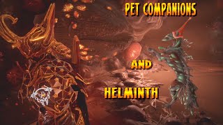 Warframe  Pet Companions interact with Helminth [upl. by Lion]