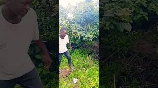 funny bnny msukuma comedy [upl. by Arnold]