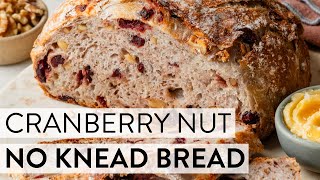 Cranberry Nut No Knead Bread  Sallys Baking Recipes [upl. by Anivel197]