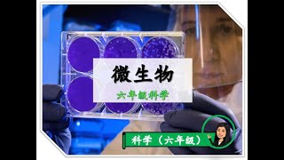 【六年级科学】 ｜ 第三课《微生物》｜附送笔记 [upl. by Novi]