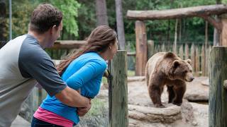 Man Pushes Girlfriend Into Grizzly Bear Enclosure Then This Happens [upl. by Minardi902]