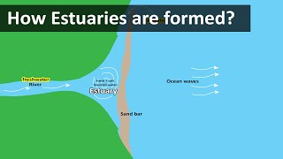 How Estuaries are formed  Coastal Estuary sandbar  Geography terms [upl. by Procora]