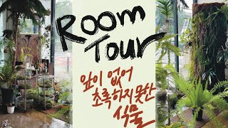 Room Tour잎 없이 사는 식물이 있다고 뿌리가 새로 자랄 때 뿌리가 어떻게 생겼는지 궁금하죠 [upl. by Akienaj831]