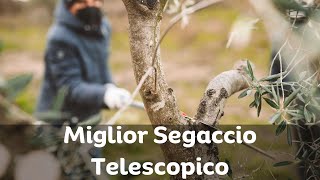 Miglior Segaccio Telescopico per Potatura Guida allacquisto e Recensioni [upl. by Dric648]