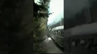 2 Dampfloks befördern Personenzug durch den Wald nach Viechtach am 6Mai 1989 [upl. by Rooney]