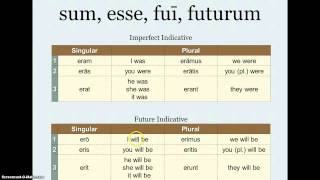 Ch 6 sum possum and complementary infinitives [upl. by Leicester]