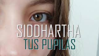 Tus Pupilas  Siddhartha Fan Made [upl. by Thun]