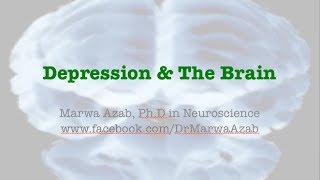 The Depressed Brain amp Treatment [upl. by Jamieson]