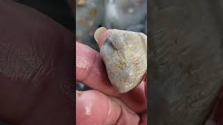 Michigan Fossil Hunting Paradise Near Me buriedtreasure fossil thefinders rockhounding [upl. by Raynata867]