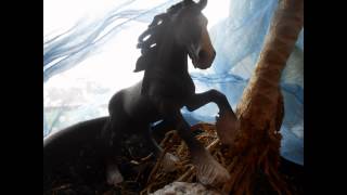 quotOstwindquotdie vier Elemente TRAILERSchleich Pferde [upl. by Nnylarac]