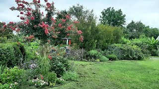 August Full Garden Tour  Ricks Garden Diary  2024 [upl. by Oivatco]