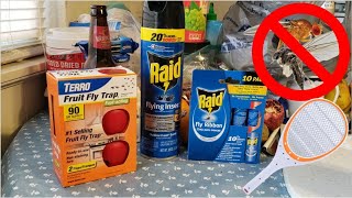 How To Treat Gnats amp Fruit Flies Once And For All  Testing Various Methods [upl. by Pat670]