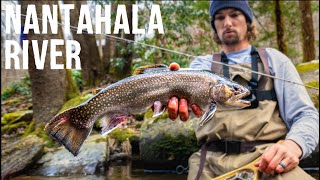 Fly Fishing NC’s BEST Trout Stream  The Nantahala River [upl. by Nirtiak249]