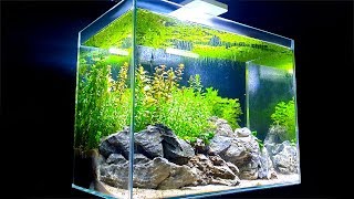 Shrimp Tank Tower  Ep1 ROCK Hardscape ᴴᴰ How To Aquascape No Filter No Ferts No co2 No Heater [upl. by Ynffit]