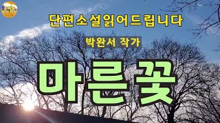 단편소설오디오북 마른꽃  박완서 작가  박완서 작가님이 남편과 사별후 64세가 되던 해에 쓴 작품  실버로맨스는 어떤 이해와 책임이 뒤따를지 [upl. by Intosh]