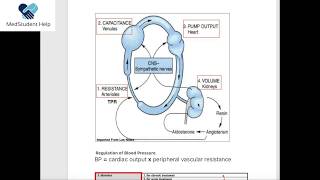 AntiHypertensive Drugs [upl. by Chimene]